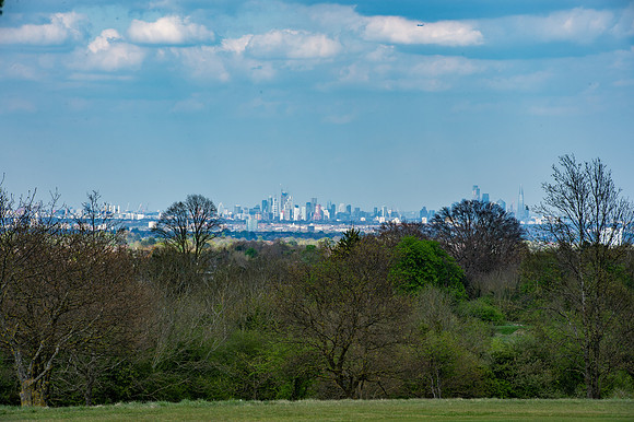 DSC_4957