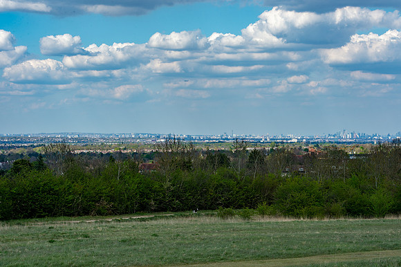 DSC_4948