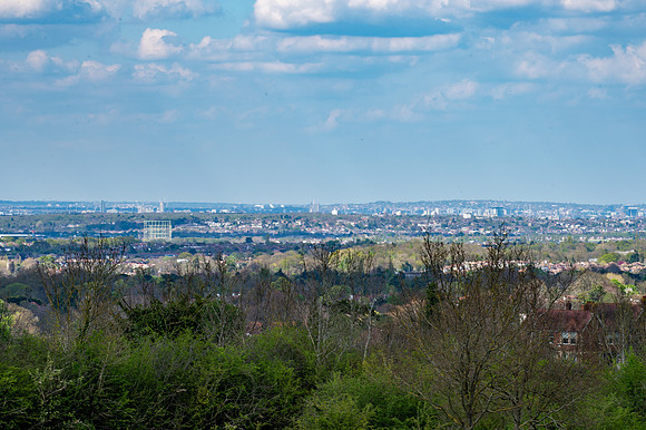 DSC_4942
