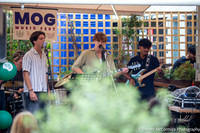 IMG_3911