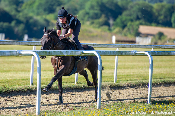 DSC_2332