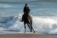 Hayling Island