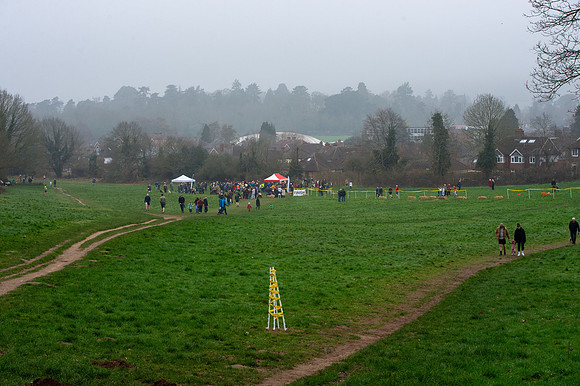 DSC_6517