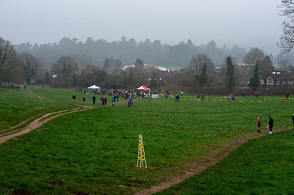 DSC_6518