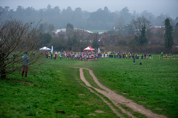 DSC_6535