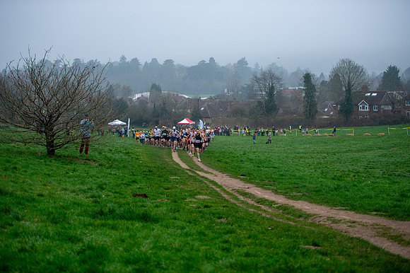 DSC_6558