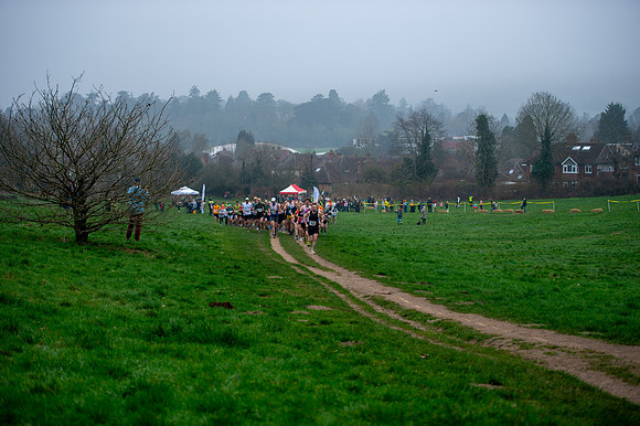 DSC_6559
