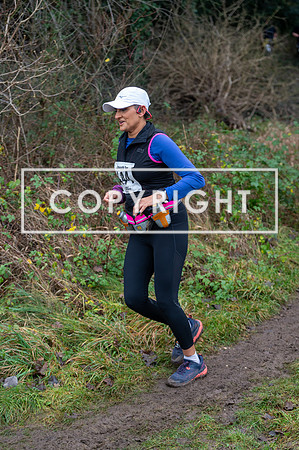 DP1_4250