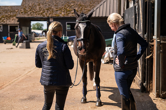 DP1_3963