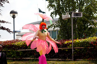 IMG_8784