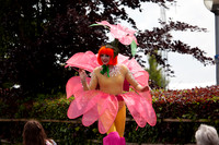 IMG_8781