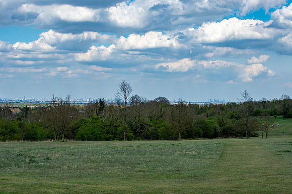 DSC_4951