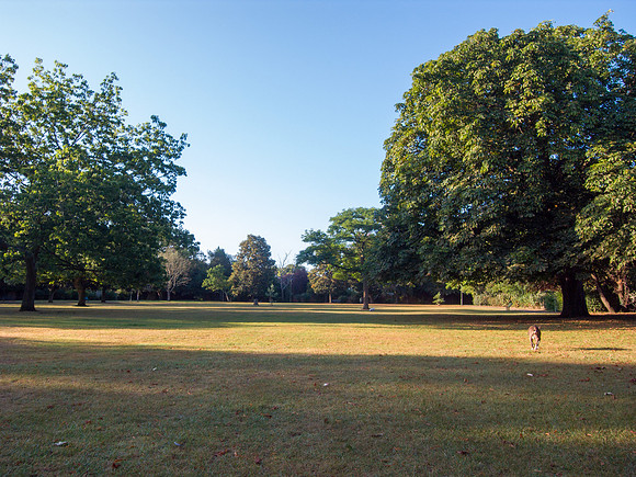 R0021916