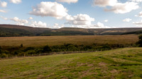 DSC06738