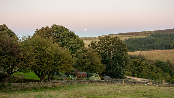 DSC06985