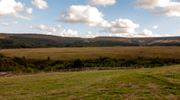 DSC06740