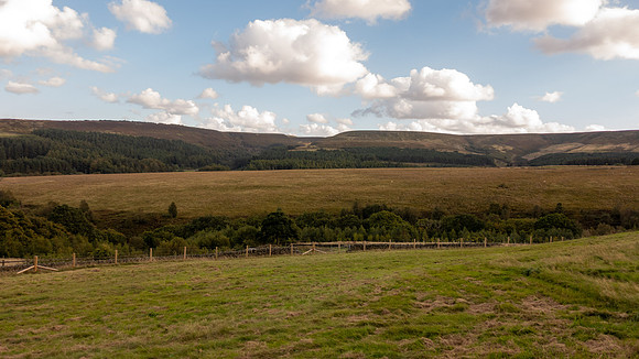 DSC06740