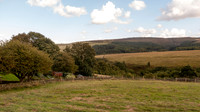 DSC06741