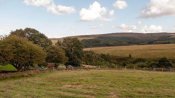 DSC06741