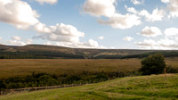 DSC06739