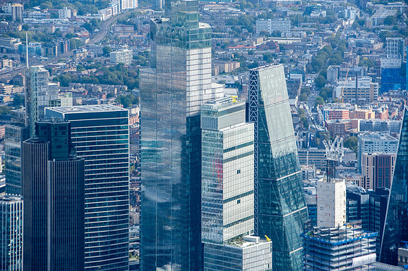 DSC_9009