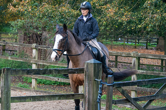 DP1_4746