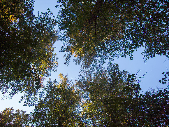 R0021909
