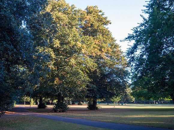R0021914
