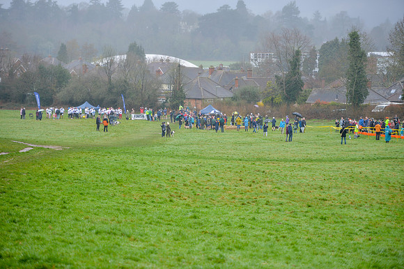DSC_8237