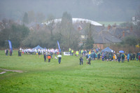 DSC_8239