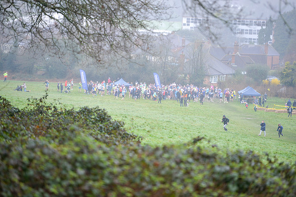 DSC_8519