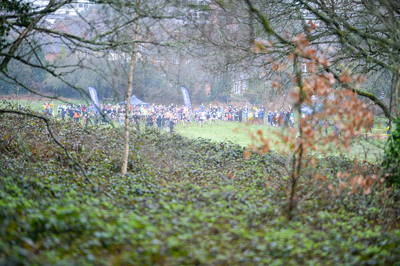 DSC_8523