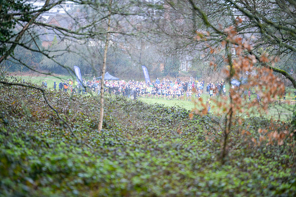 DSC_8528