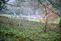 DSC_8532