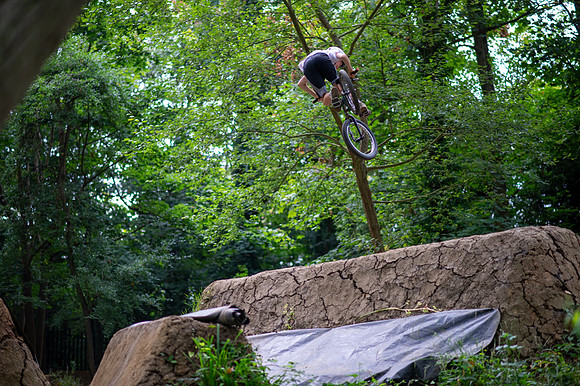 DSC_3415