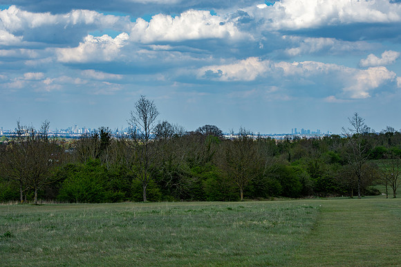 DSC_4950