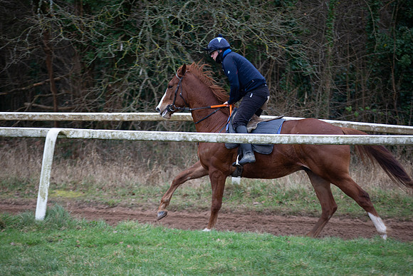 D98R0271