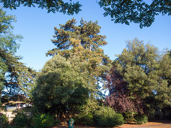 R0021920