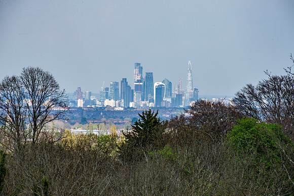 DSC_4938