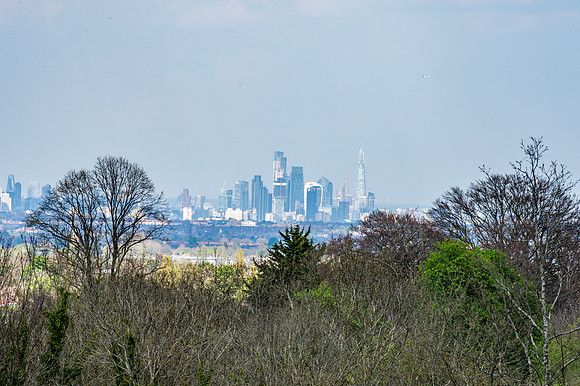 DSC_4937