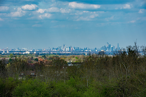 DSC_4947