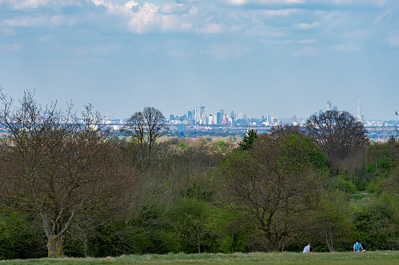 DSC_4934
