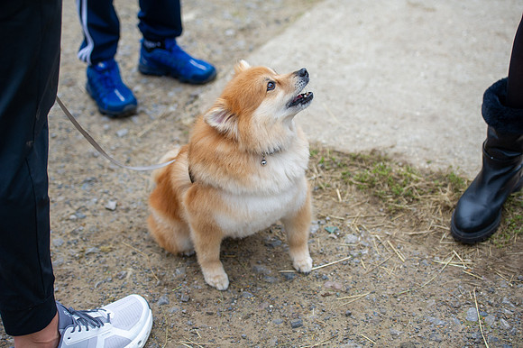 DSC_4507