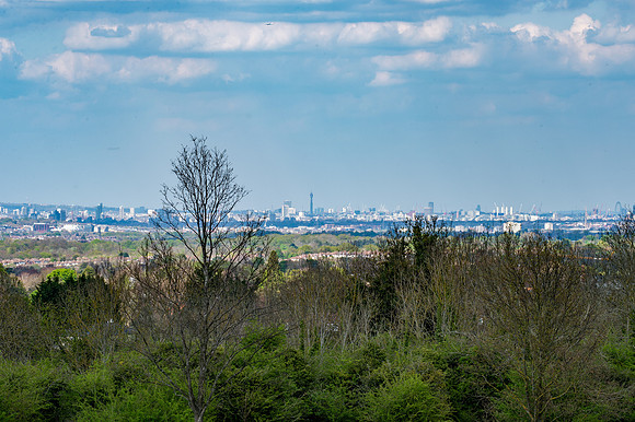 DSC_4940
