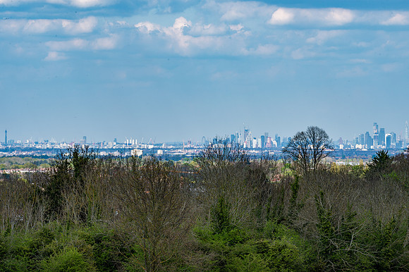 DSC_4939