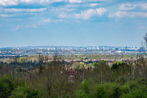 DSC_4941