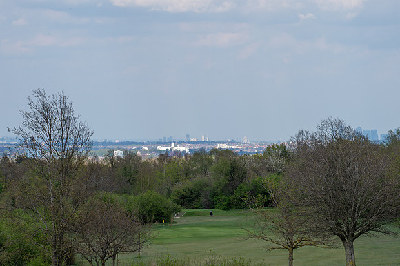 DSC_4935