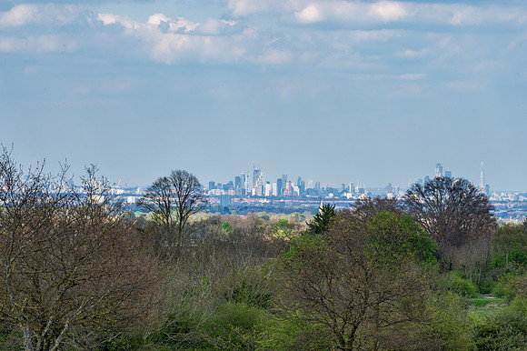 DSC_4936