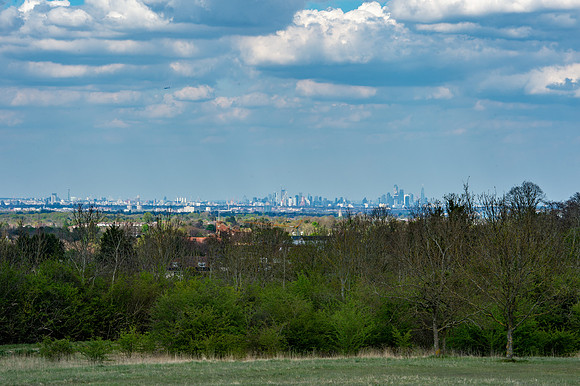 DSC_4946