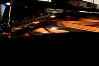 DP1_7090